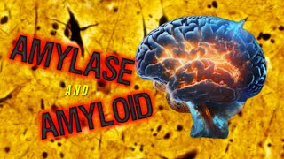 Amylase and Amyloid [upl. by Ahsemrac945]