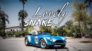 Shelby AC Cobra Kirkham FIA Aluminum Body  Lovely Snake [upl. by Nnaoj]