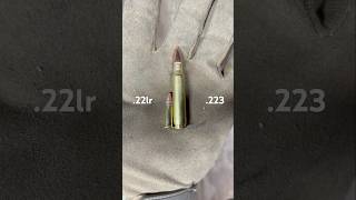 22lr vs 223 Rem Size Comparison [upl. by Meean717]