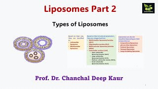 Liposomes Part 2 Types of Liposomessaiedupharmaa nddsCRDDS [upl. by Enilrae796]