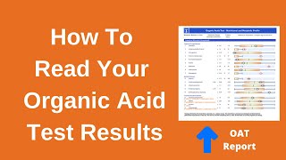 Organic Acids Test Interpretation With Treatment Suggestions [upl. by Clein]