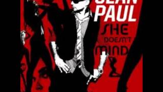 Sean Paul  She Doesnt Mind [upl. by Nylarej]