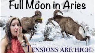 Full Moon in Aries Oct 17th…Tensions are High as Elections Loom [upl. by Dareg193]