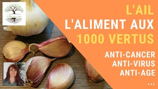 LAIL  BIENFAITS de lAILsur la santé ANTIVIRUS ANTICANCER ANTIAGE etc [upl. by Scevo]