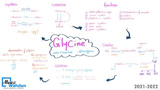 23 Glycine metabolism part 01 Moaz Wahdan [upl. by Annotahs]