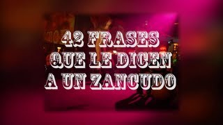 42 frases que le dicen a un zancudo [upl. by Cassey]