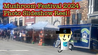 The Mushroom Festival Photo Slideshow Reel 2024 [upl. by Colombi]