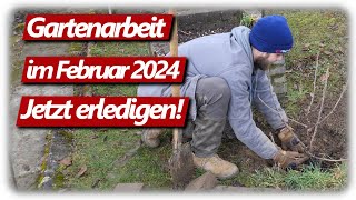 Gartenarbeit Februar  Feigen schneiden Weinreben Gartenplanung Johannisbeeren pflanzen amp düngen [upl. by Seagrave]