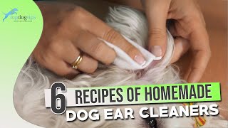 6 Recipes of Homemade Dog Ear Cleaners [upl. by Atinihs]