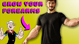 How To Build Your Forearms Bigger Than You Need [upl. by Strep]