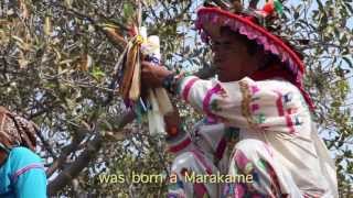 Huicholes  Wixaritari  TEOKARI Documentary Trailer [upl. by Ttehc]