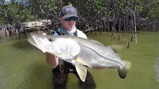 Her First Time Snook Fishing Mangroves [upl. by Calan]