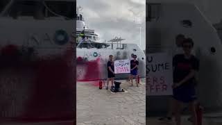 Climate Activists SprayPaint Walmart Heir’s 300M Yacht [upl. by Dawes]