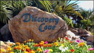 Discovery Cove  Orlando  set23 [upl. by Corabelle]