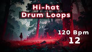 The Best Hihat Drum Loop 120 Bpm 12  Full Beat Loop Samples  Free For Music Producers [upl. by Odama]