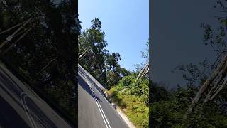 Travel mountain bike ride mountain biking travel [upl. by Wash]