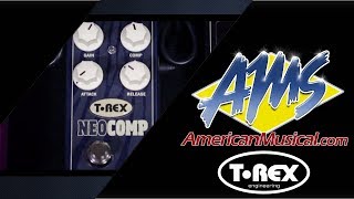 TRex NeoComp Overview  American Musical Supply [upl. by Nadnerb]