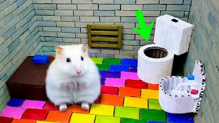 How Hamster Escapes the Awesome Maze for Pets in real life🐹Hamster Maze with Traps OBSTACLE COURSE [upl. by Analem]