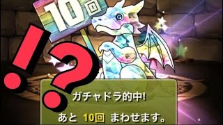 【お年玉】8000円の10連ガチャドラ確定ガチャを引いてみた 【パズドラ】 [upl. by Helga347]