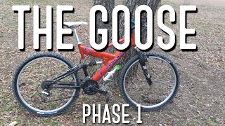 THE GOOSE PHASE 1 [upl. by Leandro511]