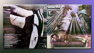 Steely Dan  The Caves Of Altamira  HiRes Vinyl Remaster [upl. by Enerol]