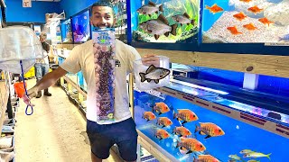 VISITING The BEST PET STORE In South FLORIDA Craziest lnventory [upl. by Sirob]