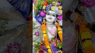 Madhab Murari  iskcon  shorts [upl. by Arracot]