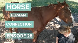 Horse Human Connection Ep28 [upl. by Limber662]