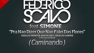 Federico Scavo Ft Simone  Pra nao dizer que nao falei das flores Caminando [upl. by Nwahc]