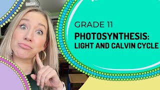 Photosynthesis  Light Dependent and Calvin Cycle [upl. by Anitsugua]