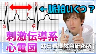 心電図から脈拍計算、心電図の種類は？よく出る不整脈は？心臓の構造と機能 [upl. by Belter]