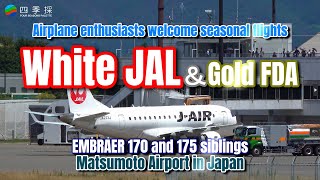 The JAL and FDA airplanes are Embraer 170 and 175 so they are brothers airplane [upl. by Lura]