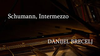 Schumann Intermezzo from Faschingsschwank aus Wien [upl. by Haerr604]