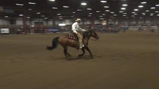 210410 Non Pro Derby Thomas Daley On Merles Last Song [upl. by Nashom]