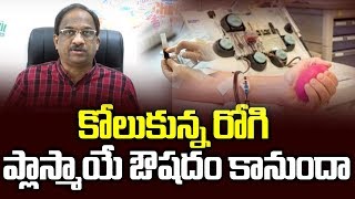 కోలుకున్న రోగి ప్లాస్మాయే ఔషదం కానుందా  Convalescent Plasma as a potential therapy [upl. by Giulietta]