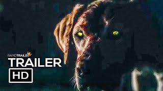 The dog cinema – BBC London News [upl. by Nnylrats463]