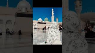 🥰🥰🥰Sayyed aminul kadri motivation viralvideo love mashallahsubhanallah sayyedaminulqadri [upl. by Christine]