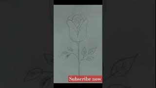 Rose flower drawing gulab drawing rose phul flower technique shorts drawdreams art drawing [upl. by Godber]