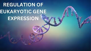 70Control of Cell Differentiation by Homeodomain Proteins During Development In Utero Klein Waarden [upl. by Odracer]