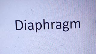 HDF is live Diaphragm Anatomy [upl. by Joe]