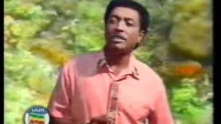 Music Ethiopian Aklilu Seyoum 04 [upl. by Shelden]