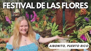 Festival de las flores en Puerto Rico  Amazing Flower Festival in Aibonito Puerto Rico [upl. by Naylor59]