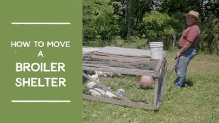 How to Move a Broiler Shelter AKA Chicken Tractor  Joel Salatin [upl. by Asillem]