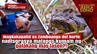 Magkakapatid nadisgrasya matapos kumain ng palakang may lason  Kapuso Mo Jessica Soho [upl. by Nnav168]