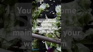 You need tools for maintaining your worm farm [upl. by Orola]