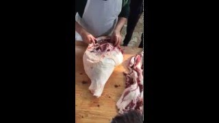 trimming a leg for culatello [upl. by Htor]