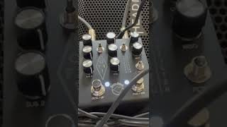 Mastro Valvola OFF1 Octave Fuzz Filter pedal suboctaveSchecter Hellraiser CVI baritone guitar cool [upl. by Halet647]