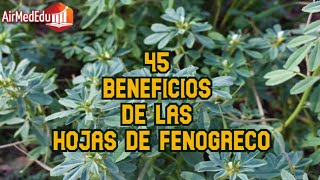 45 Beneficios de las Hojas de Fenogreco [upl. by Dohsar]