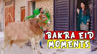 Bakra eid moments 2020 by Peshori vines [upl. by Lucania269]