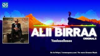 Alii Birraa Guyyaan guyyaadha  Alii Birraa Music  alii birraa new music  alii birraa old music [upl. by Ahseat]